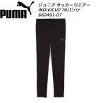  Puma PUMA Junior футбол одежда pi стерео брюки JR IndivC TR брюки 660491 07