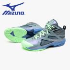  Mizuno MIZUNO фитнес обувь мужской женский WAVE DIVERSE LG5 Ltd 31GF257502