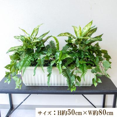 造花と人工観葉植物の店舗装飾専門店PP-SHOP - 寄せ植えフェイク