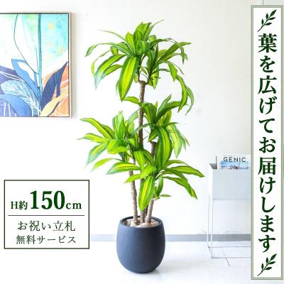 造花と人工観葉植物の店舗装飾専門店PP-SHOP - 人工観葉植物｜Yahoo