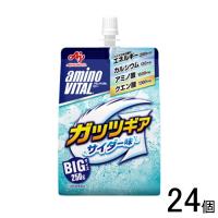 味の素 アミノバイタル ゼリードリンク ガッツギア サイダー味 パウチ 250g×24個入 ／飲料 | オーナインショップ ヤフー店