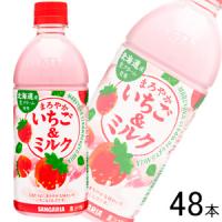 サンガリア まろやかいちご＆ミルク PET 500ml×24本入×2ケース：合計48本 ／飲料 | オーナインショップ ヤフー店