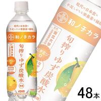 ダイドー 和ノチカラ 旬搾りゆず炭酸水 PET 500ml×24本入×2ケース：合計48本 ／飲料 | オーナインショップ ヤフー店