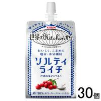 キリン 世界のKitchenから ソルティライチ パウチ 300g×30個 世界のキッチン | オーナインショップ ヤフー店