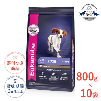 モコペットチャリティストア - 子犬用｜Yahoo!ショッピング