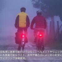 送料無料】自転車用 テールライト 防水IPX6セーフティライト 赤青LED 