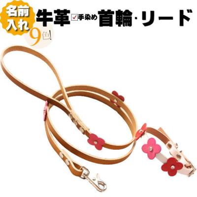 犬首輪リードセットおしゃれ（サイズ（S/M/L）：～SS(XS)）のおすすめ