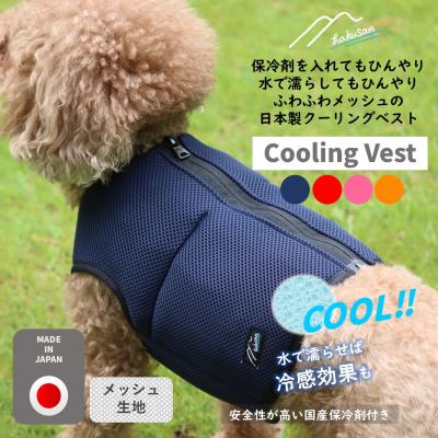 Hakusan ドッグスロープ　ケース付き Hakusan ドッグスロープ ケース付き 安心・安全を追求した