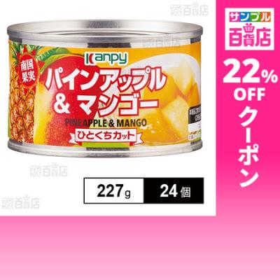 クーポン利用で164.2円/1個 [24個]加藤産業 カンピー パインアップル