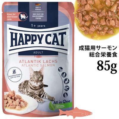 56nyan 猫用品ゴロにゃんヤフー店 - 新作＆新商品｜Yahoo!ショッピング