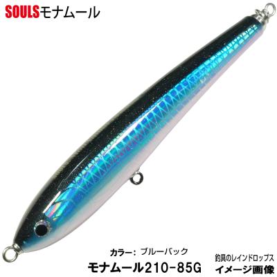 ソウルズ ルアー（釣り） | アウトドア、釣り、旅行用品 のおすすめ