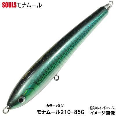 ソウルズ ルアー（釣り） | アウトドア、釣り、旅行用品 のおすすめ