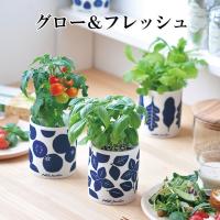 栽培キット えだまめ栽培セット 即納 栽培セット 植物 枝豆 えだまめ ビール おつまみ つまみ お酒 酒 インテリア 置物 グッズ Sst2 癒しグッズ専門店 なごみ 通販 Yahoo ショッピング