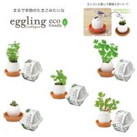 栽培キット えだまめ栽培セット 即納 栽培セット 植物 枝豆 えだまめ ビール おつまみ つまみ お酒 酒 インテリア 置物 グッズ Sst202 癒しグッズ専門店 なごみ 通販 Yahoo ショッピング