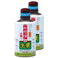 まとめ買い生葉液(しょうようえき) 歯槽膿漏を防ぐ デンタルリンス 液体歯磨き ハーブミント味 330ml×2個 医薬部外品 | キラショップ