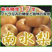 10月分予約 最高糖度17度 梨 長野産 南水梨 贈答用 大玉10~14個 約4.5kg入 南水 ギフト 秀品 * ふるさと納税 ではありません