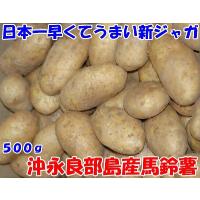 日本一早くてうまい新じゃが 鹿児島県沖永良部産 馬鈴薯 500g 2~3個入 メークイン L~2Lサイズ 秀品 新じゃがいも 新じゃが芋 新ジャガイモ おきのえらぶ 