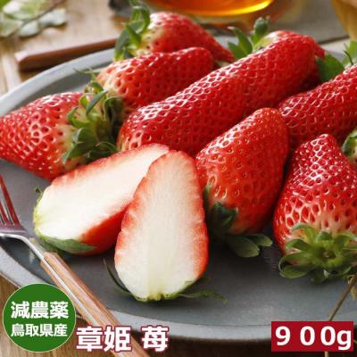 あきひめ いちごのおすすめ人気商品一覧 通販 - Yahoo!ショッピング