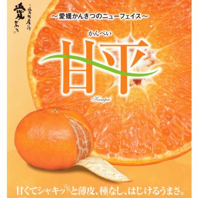 甘平のおすすめ人気商品一覧 通販 - Yahoo!ショッピング