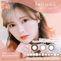 PIA feliamo [6箱] 1箱10枚入り ワンデー フェリアモ 度あり 度なし 白石麻衣 DIA14.5mm カラコン 送料無料 | クイックコンタクト