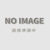 (SIYOUEI/昌栄) オリーブあゆ袋付 169 39cm 169006 鮎網 ネット | 熊人Yahoo!店