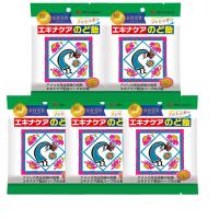 5袋セット 松浦薬業 エキナケアのど飴 52g ノンシュガー 個包装 メントール エキナセア 北海道倉庫 | a-kuストア