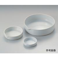 磁製平皿 φ60mm 25mL (6-563-01) | A1 ショップ 休業日土日・祝日