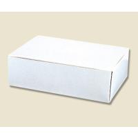 シモジマ HEIKO サンドイッチケース 白 100枚 004200600 (62-1009-50) | A1 ショップ 休業日土日・祝日
