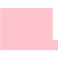 日本ホップス 仕切ガイドラテラル A4 ピンク 10枚 DG-A4L08 (62-2716-54) | A1 ショップ 休業日土日・祝日