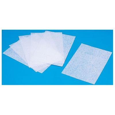 アルソミトラの種 11点セット★やや傷ありのためお得セット！￼￼ Amazon.co.jp: ナリカ アルソミトラの種 5枚組 G40-7104 : DIY