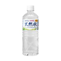 伊賀の天然水 600mL 24本 日本サンガリアベバレッジカンパニー 120977 (65-0479-18) | A1ショップ 土日・祝日・夏季・年末年始休業