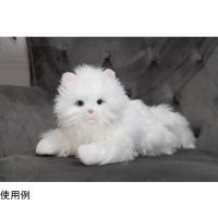 しっぽふりふり あまえんぼう子ねこちゃん BPS 電池企画販売  (68-0448-52) | A1ショップ 土日・祝日・夏季・年末年始休業