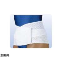 山田式 骨盤Wフィット L ミノウラ 1052 (68-4058-35) | A1ショップ 土日・祝日・夏季・年末年始休業