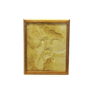 始祖鳥 化石のおすすめ人気商品一覧 通販 - Yahoo!ショッピング