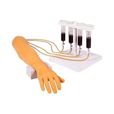穿刺練習 採血キット 練習 公式 採血練習キットsensitiv センシティブ