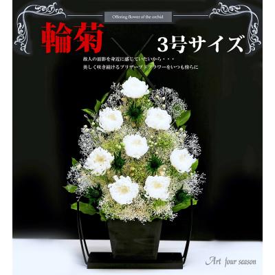胡蝶蘭 プリザーブドフラワーのおすすめ人気商品一覧 通販 - Yahoo