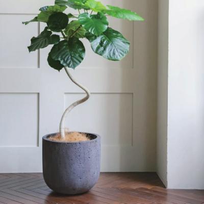 大型プランター黒（植木鉢）｜鉢、プランター｜園芸用品 | 花