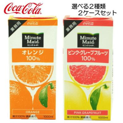 業務用濃縮ジュース（Minute Maid）の商品一覧 通販 - Yahoo!ショッピング