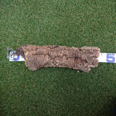 爬虫類 天然コルクのおすすめ人気商品一覧 通販 - Yahoo!ショッピング