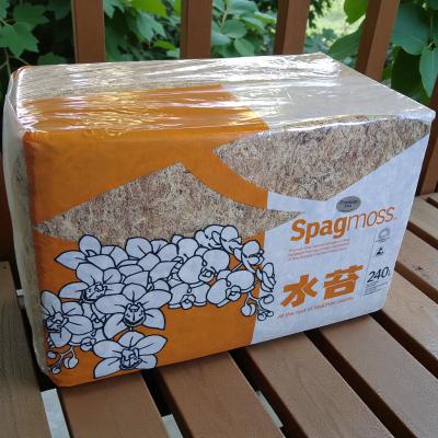 ニュージーランド産水苔5aの商品一覧 通販 - Yahoo!ショッピング