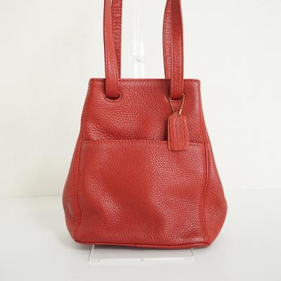 極美品希少カラー　コーチ アクセサリーポーチ ワンショルダーバッグ赤COACH 希少色 coach コーチ ショルダーバッグ 赤 シグネチャー ワン