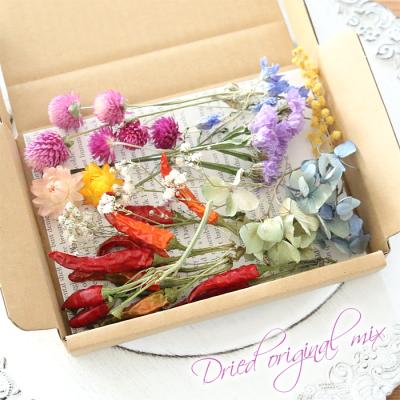 かすみ草 ドライフラワー レジン（色：ブルー系）のおすすめ人気商品  