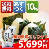 米 10kg コシヒカリ 新潟県産 30年産 1等米 白米 5kg×2袋 お米 送料無料 北海道・沖縄・一部を除く 