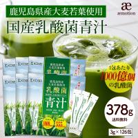 国産 青汁 乳酸菌青汁 378g(3g×126包) 4ヵ月分 鹿児島県産 飲みやすい 健康 ダイエット 乳酸菌 食物繊維 大麦若葉 野菜 送料無料 ギフト 爆買  Y