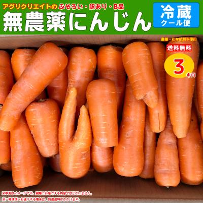 人参｜野菜｜食品 おすすめ人気商品 通販 - Yahoo!ショッピング