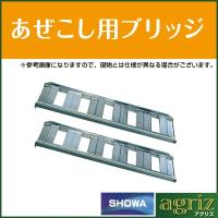 アルミブリッジ 2t 1.2m 2本セット 昭和ブリッジ SB-120-40-2.0 ツメ式 ラダーレール アルミステップ アルミラダー 1.2m(1200mm) 40cm(400mm) 2トン | アグリズ Yahoo!ショッピング店