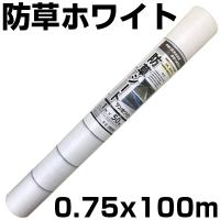 個人宅OK 防草シート 75cm 4本 防草シート 白 シンセイ 0.75m X 100m ホワイト 135g /m2 抗菌剤 UV剤 反射 太陽光 両面パネル 畝間 ハウス内 耐用約3年 | アグリズ Yahoo!ショッピング店