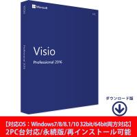 Microsoft Visio 2016 Professional 2PC プロダクトキー 正規版 