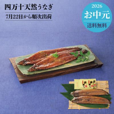 天然うなぎの商品一覧 通販 - Yahoo!ショッピング