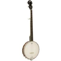 5弦バンジョー（各種楽器、器材） | 楽器、手芸、コレクション の